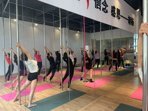 勁爆好消息！胡楊舞蹈周年特惠，僅198元體驗(yàn)舞蹈魅力！