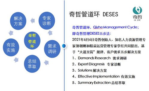 上海奇哲咨詢 企業(yè)管理咨詢的價值與核心作用解析