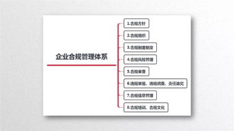 企業(yè)合規(guī)管理實務干貨ppt